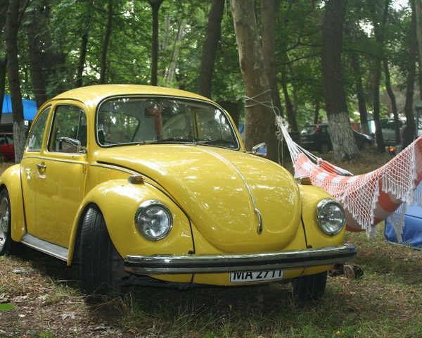 Балканска VW Bus & Air Cooled среща 2011