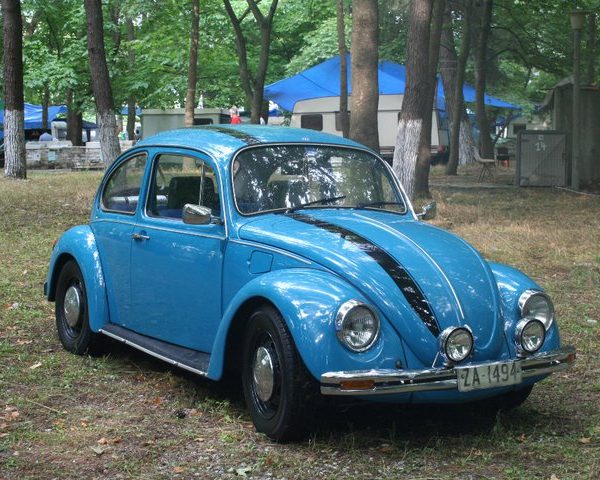 Балканска VW Bus & Air Cooled среща 2011