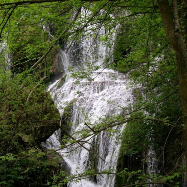 Krushuna waterfalls 2010