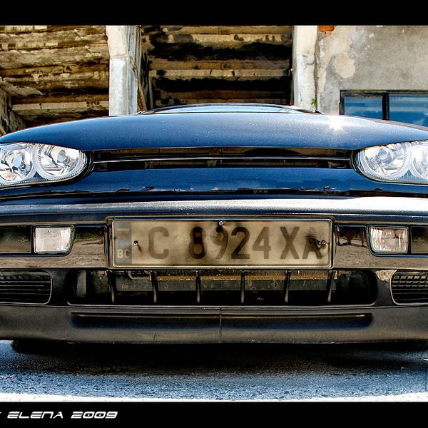 Elena 2009