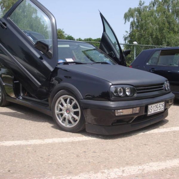 VW Show Niš 2010