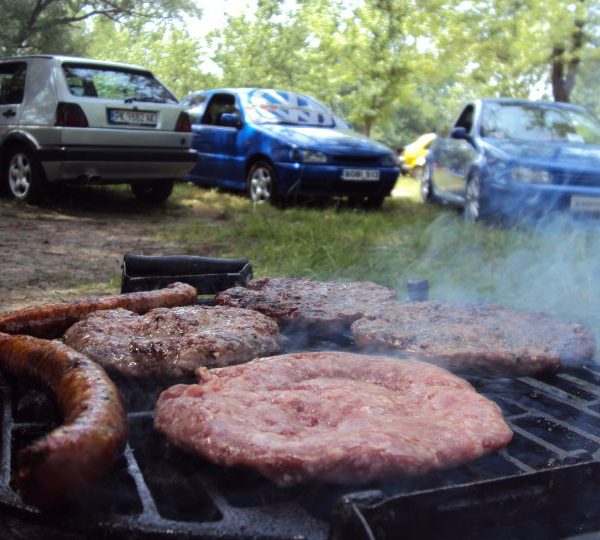 VW Show Niš 2010