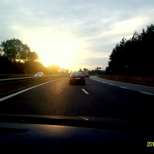 Рожен 2010