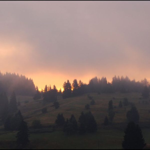 Рожен 2010