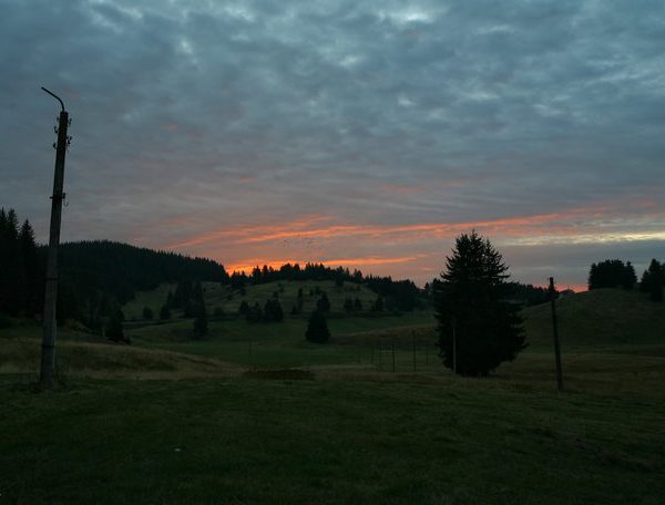 Рожен 2010