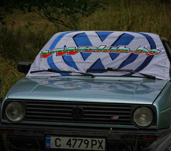Рожен 2010