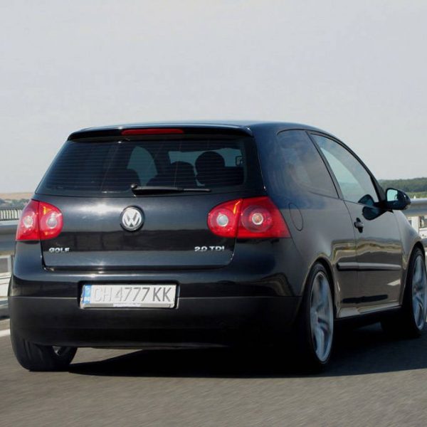 Рожен 2010