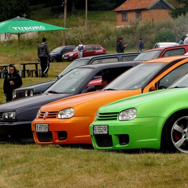 Рожен 2010