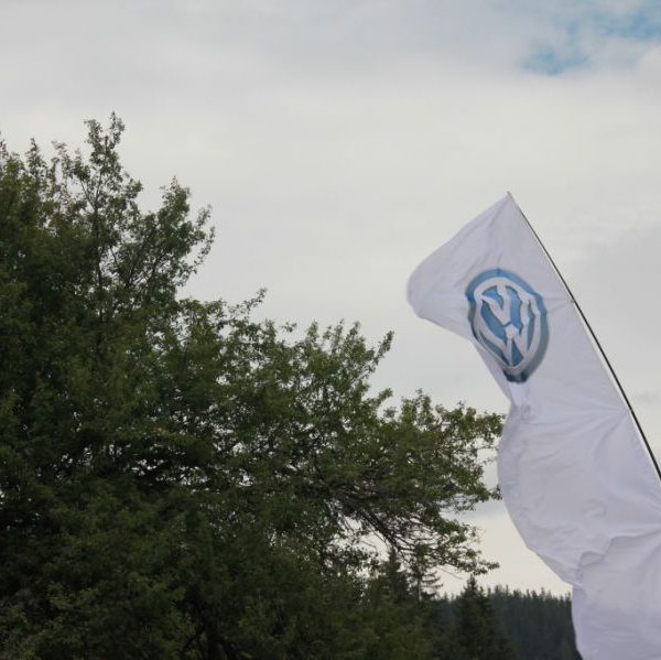 Рожен 2010