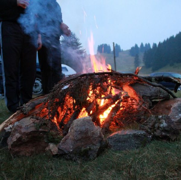 Рожен 2010
