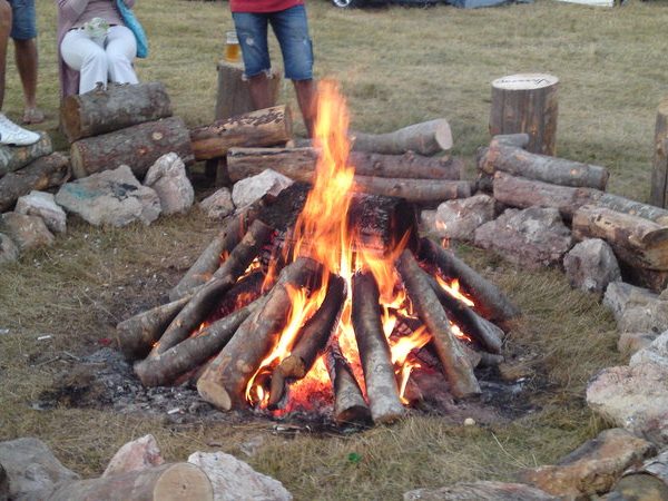 Рожен 2011