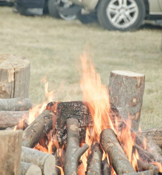 Рожен 2011